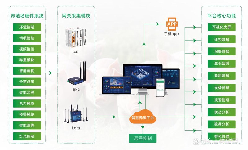 企业数字化转型:成功的关键步骤